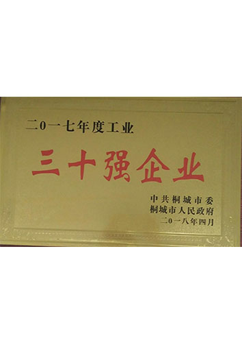 2017年度30強企業